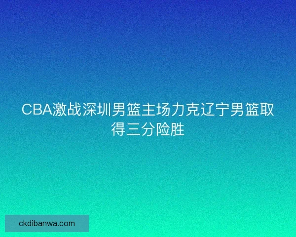 CBA激战深圳男篮主场力克辽宁男篮取得三分险胜