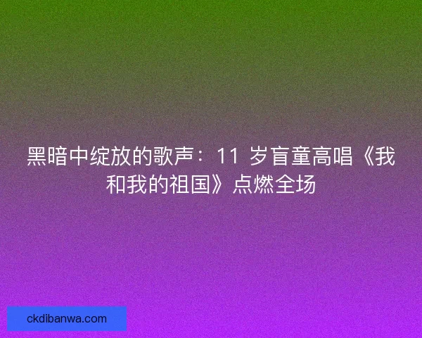 黑暗中绽放的歌声：11 岁盲童高唱《我和我的祖国》点燃全场